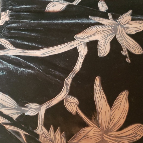 NWOT. Democracy Floral Velvet Burnout Blouse. Black/Tan. Large. - Picture 8 of 9